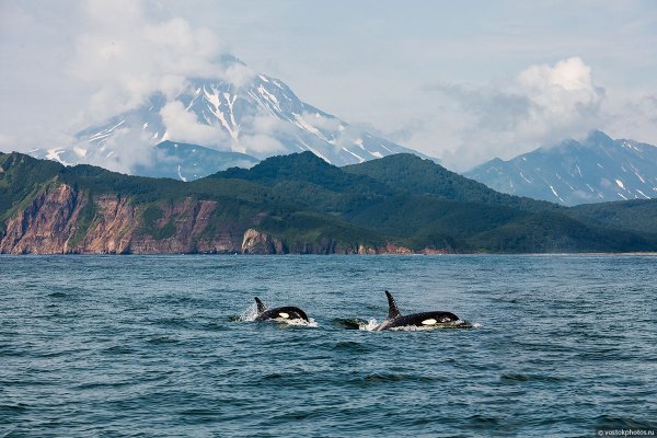 Командорские острова