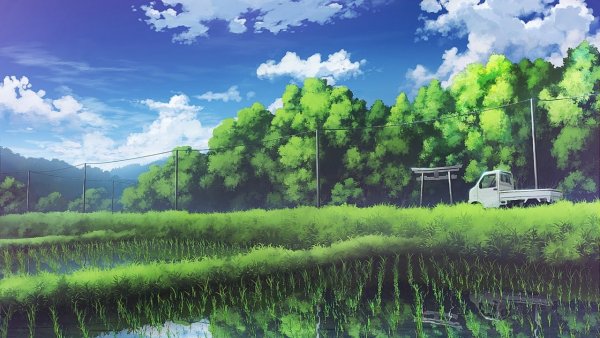 Лес Макото Синкай