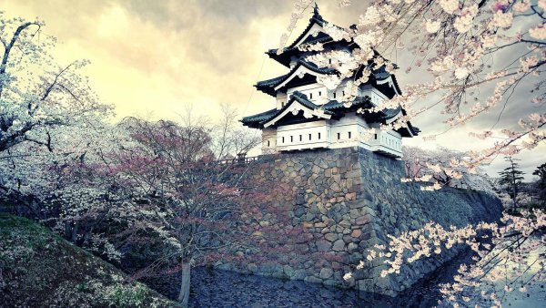 Замок Хиросаки Сакура