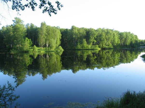 Река в Шахунье