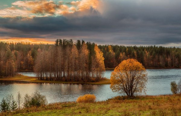 Кенозерье Архангельская осень