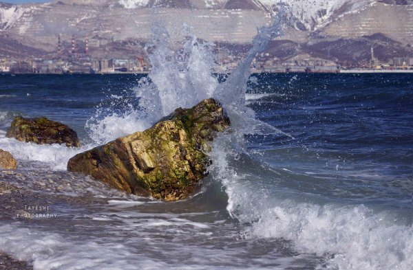 Черное море Новороссийск