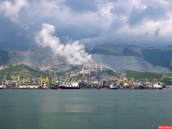 Черное море Новороссийск