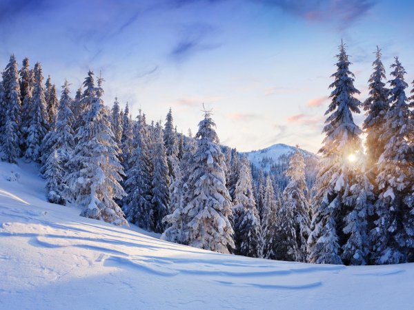 Очарование зимы