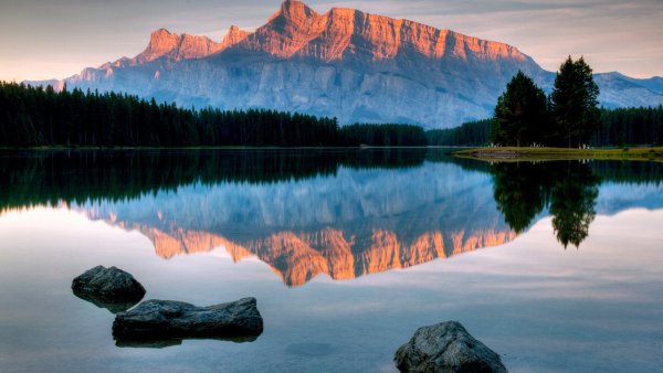 Зеркальная симметрия в природе