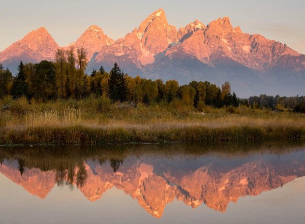Зеркальная симметрия в природе
