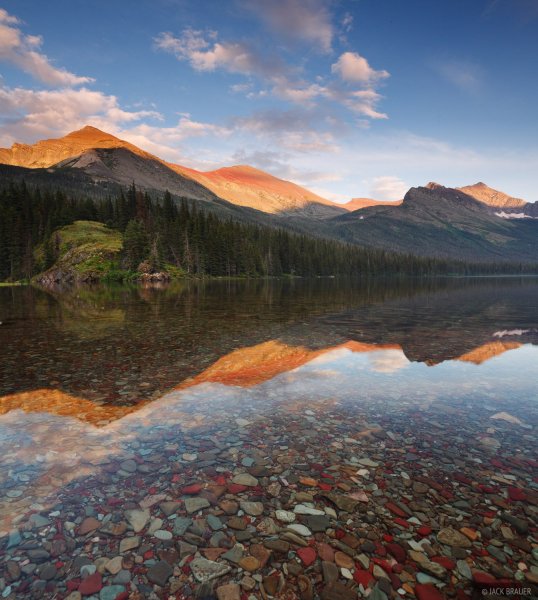 Зеркальная симметрия в природе