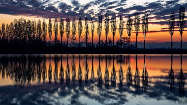 Мейндерт Хоббема картины