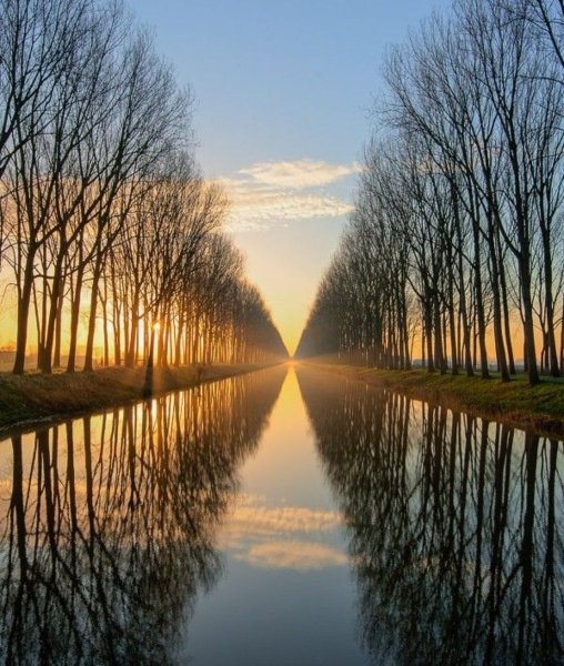 Красота симметрии в природе