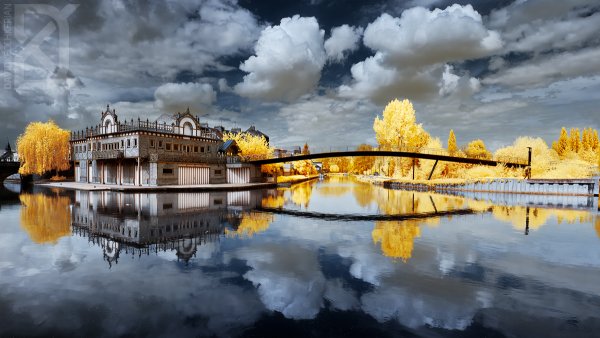 Отражение в воде симметрия