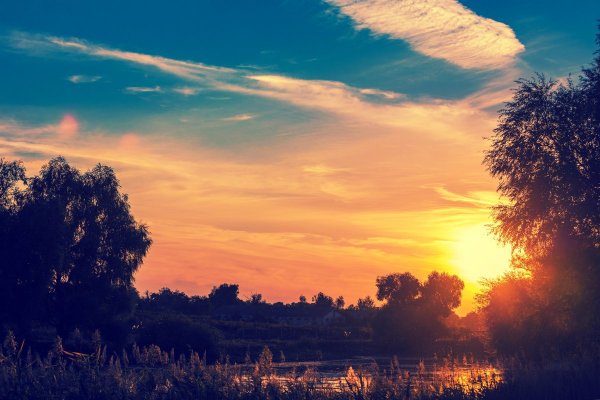 Лето рассвет