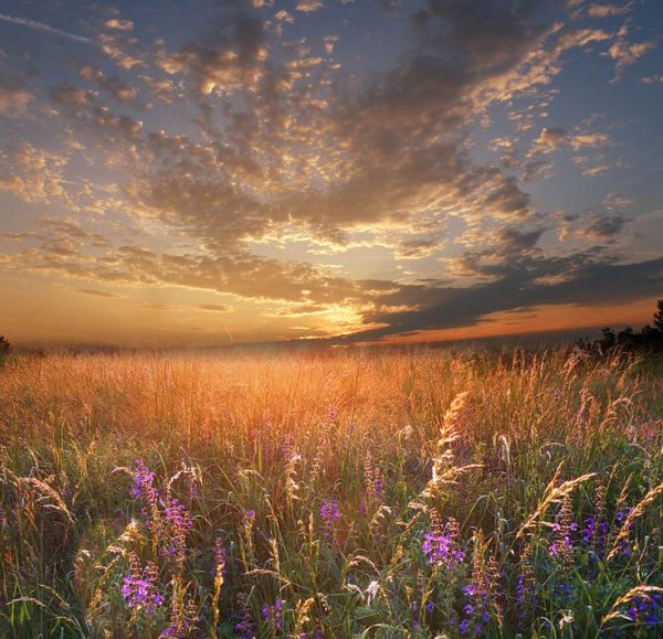 Рассвет летом