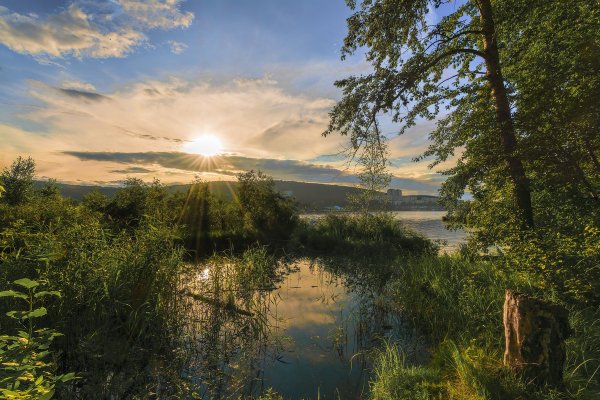 Летний вечер