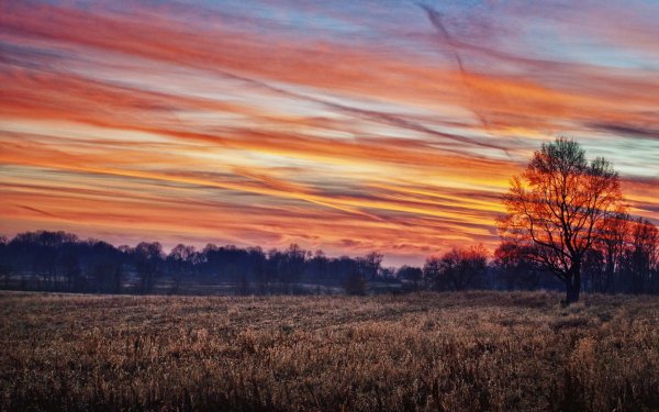 Вечернее небо осенью