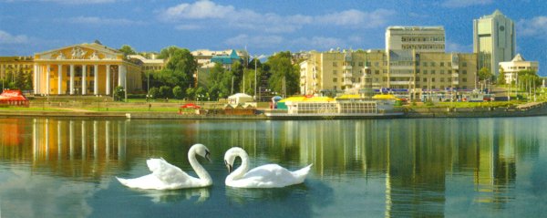 Чебоксары залив Волга лебеди