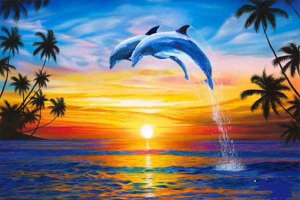 Море пальмы дельфины