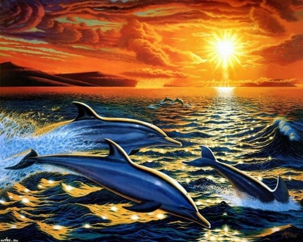Картина дельфины