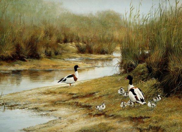 Художник Питер Верстаппен