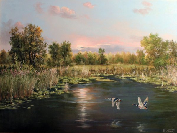 Озеро с утками живопись