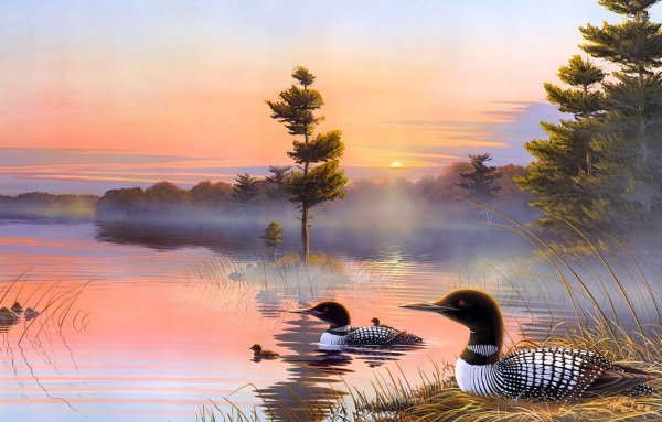 Терри Редлин закат озеро