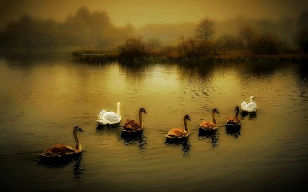 Живописные пейзажи фотографа Игоря Денисова