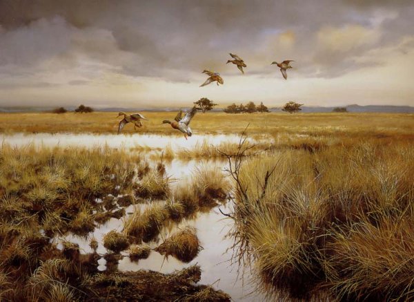 Пейзаж охота