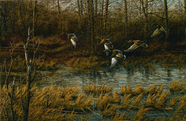 Терри Редлин озеро