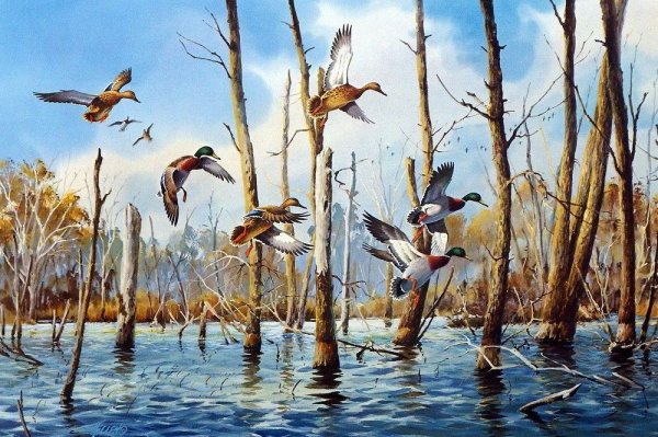 Художник анималист killen creat