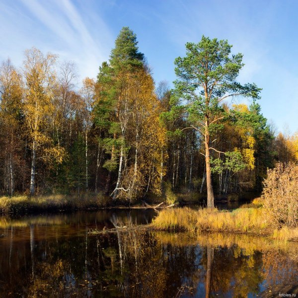 Архангельск Северная природа