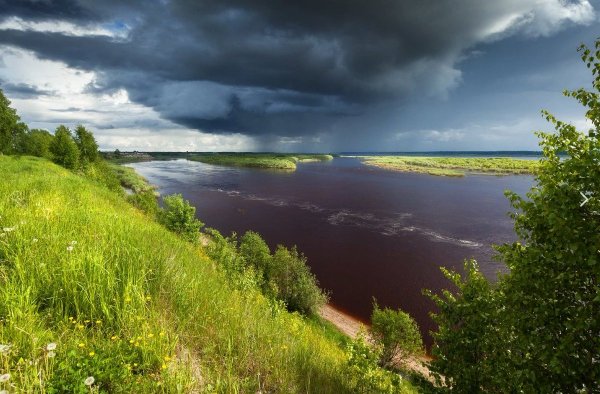 Верхняя Тойма (река)