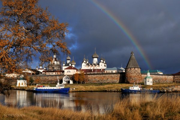Деревня Рыжково Архангельская область