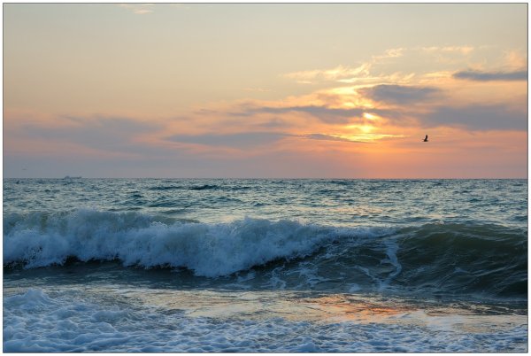 Черное море Прибой