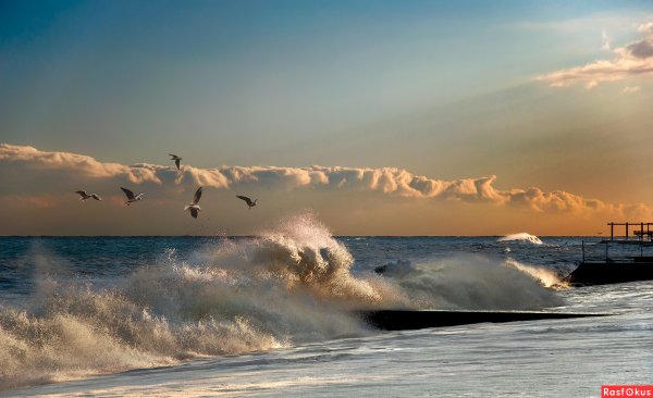 Кавказско-Черноморский рекреационный район