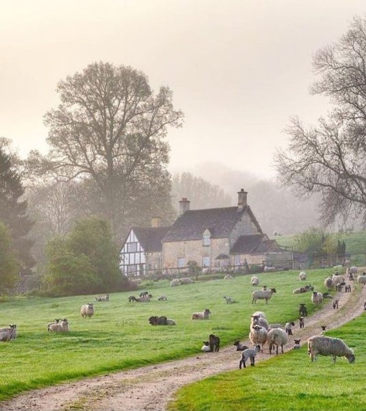 Девоншир Англия пейзажи