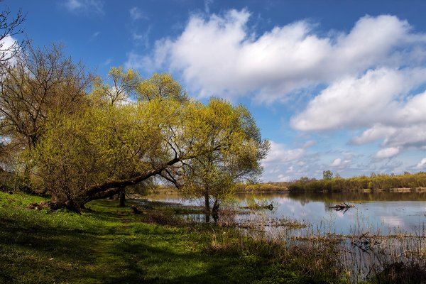 «Апрельский пейзаж», 1944