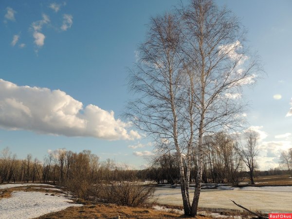 Апрель пейзаж