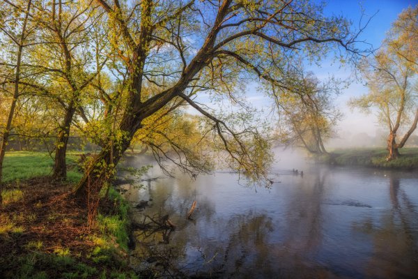 Весеннее утро