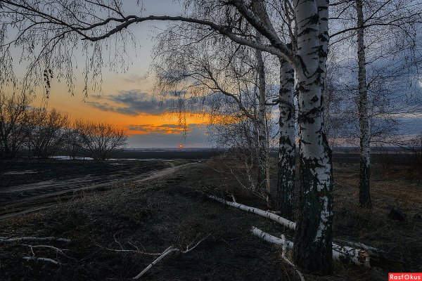Апрель пейзаж