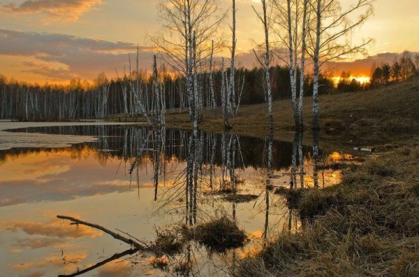 Ранняя Весна вечер