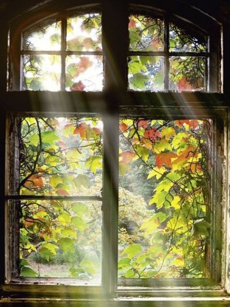 Окно осеннее с занавеской