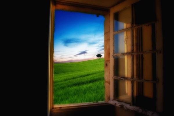 Вид из окна