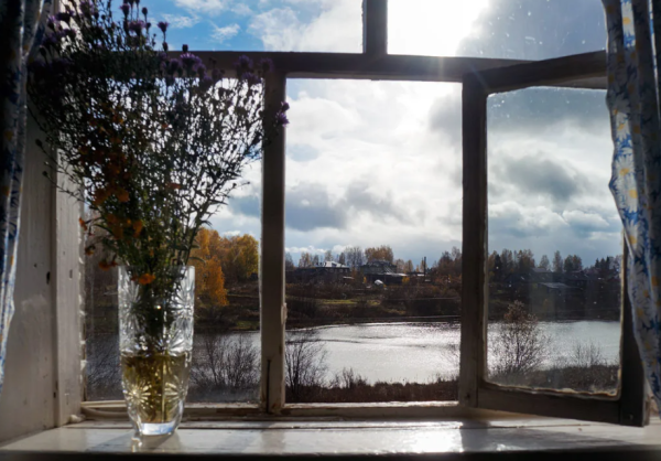 Снег за окном