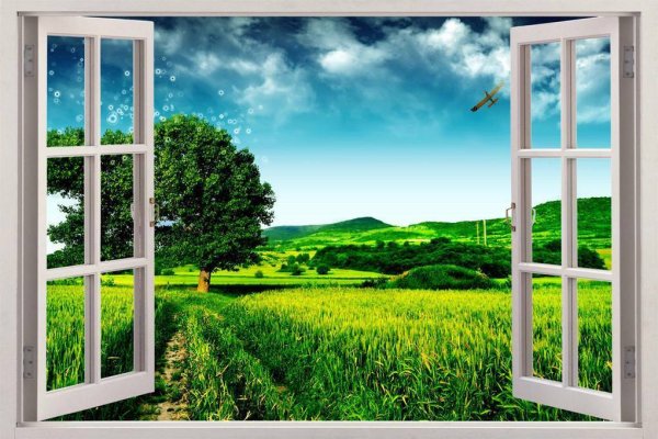 Вид за окном