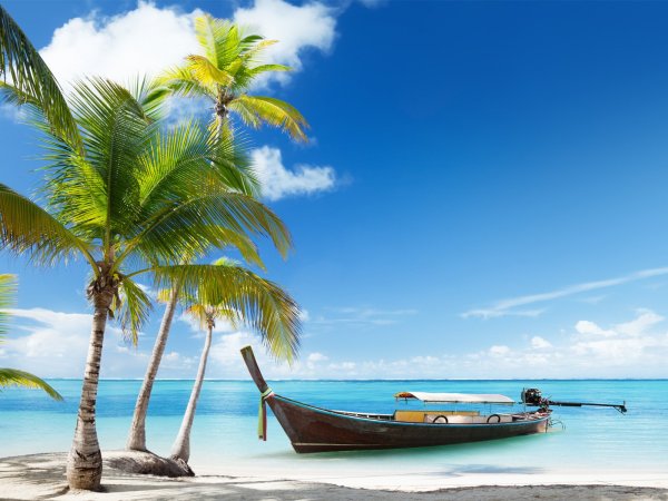 Весы CENTEK CT-2419