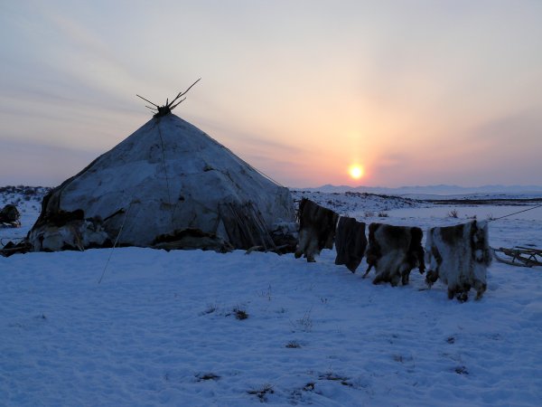 Яранга Чукотка