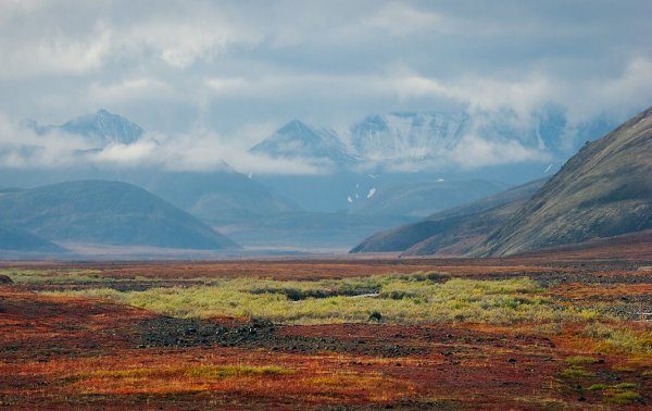 Дальний Восток Горная тундра