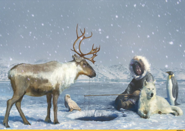 Северная олениха тундра художник