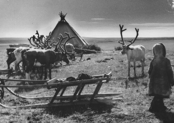 Эвенкийское стойбище