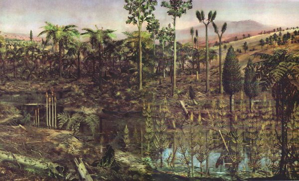 Пермский период палеозойской эры