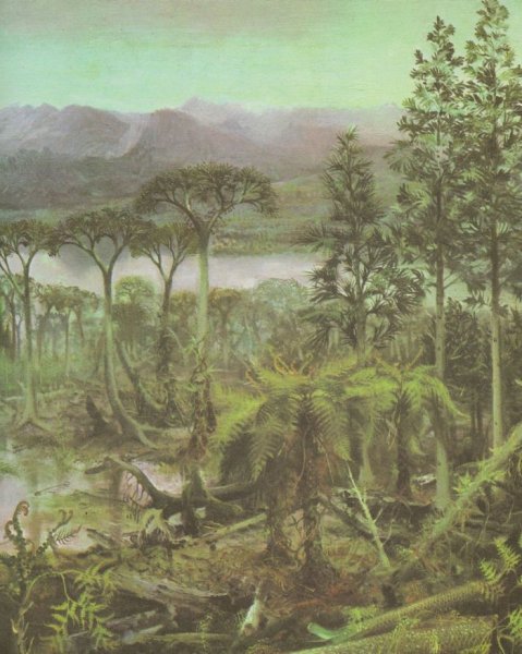 Девонский период палеозойской эры